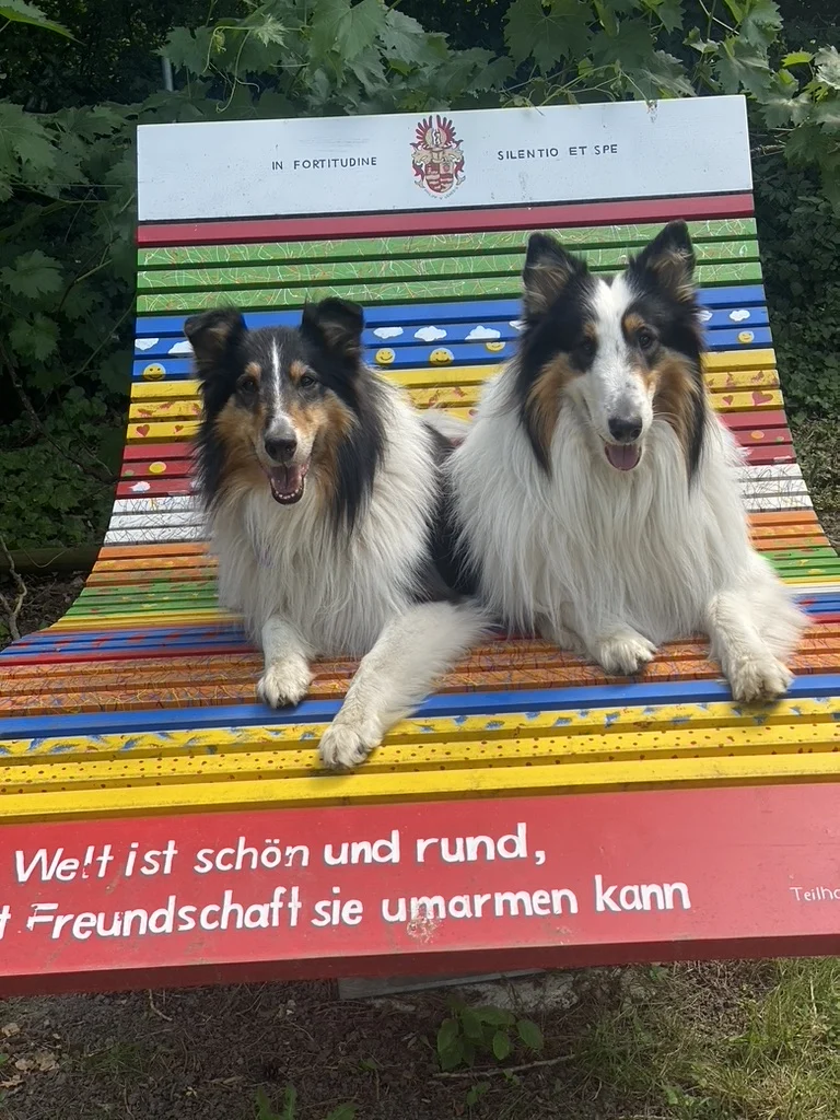 Astor und Merlin auf einer bunten Freundschaftsbank